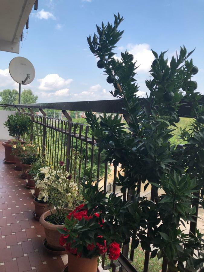 Venice H.S.Garden 마르게라 외부 사진